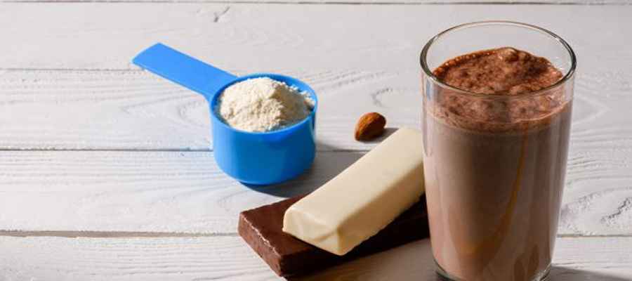 Best Protein Powder For Weight Loss Male
