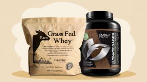 Buying Guide For Whey Protein