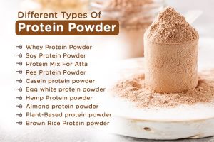 What types of protein powders are there