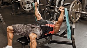 Bench press and hypertrophy
