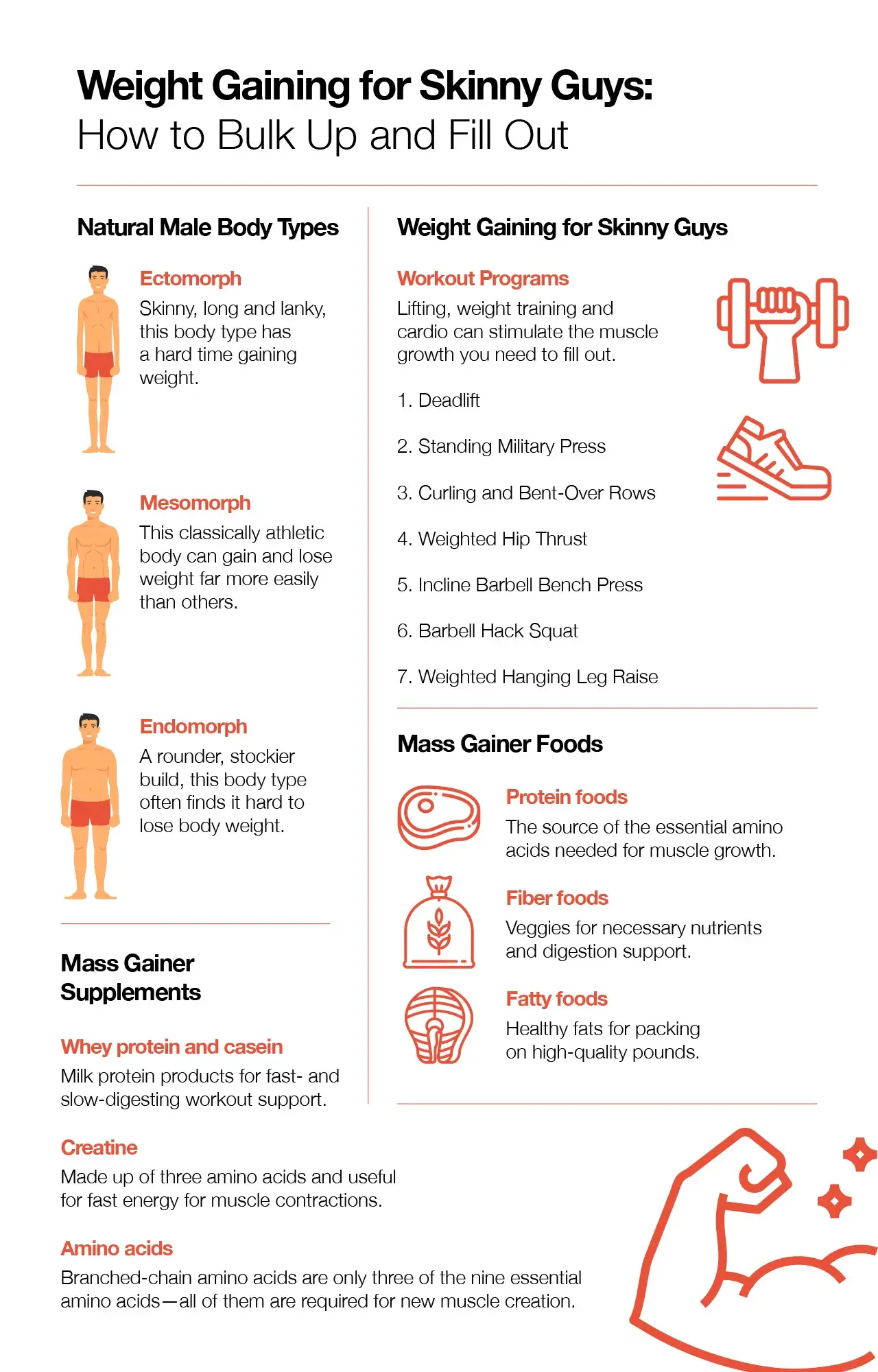 Best Mass Gainers For Skinny Guys infographics