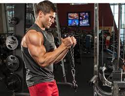 Bodybuilding Biceps Exercises
