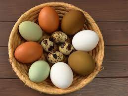 Types of eggs