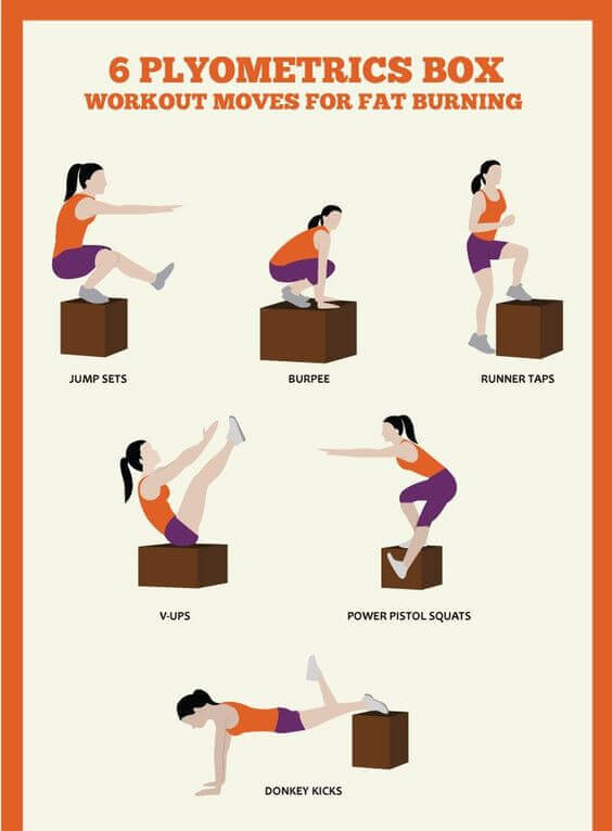 Best Plyometric Jump Boxes for Every Budget infographics 