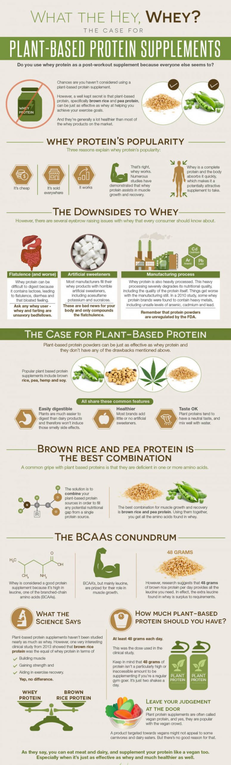 Best Protein Powders Without Artificial Sweeteners infographics