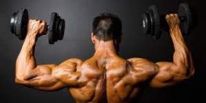 Best Shoulder Exercises For Mass